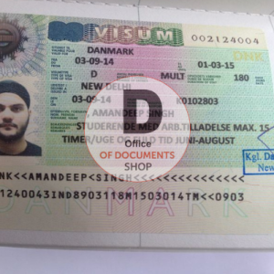 Denmark visa