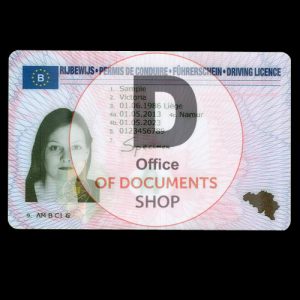 BELGIUM DRIVER LICENSE